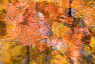 Abstract;Abstractions;Autumn;Brook;Creek;Fall;Great-Smoky-Mountains-National-Par